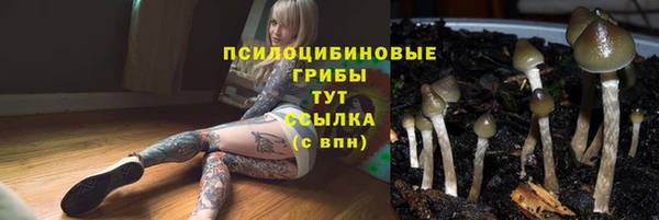 jwh Абаза