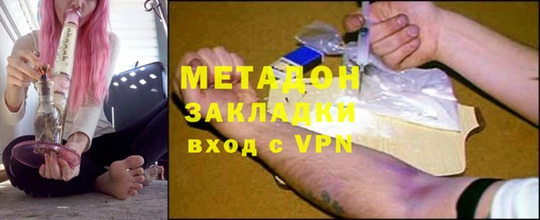 индика Алзамай