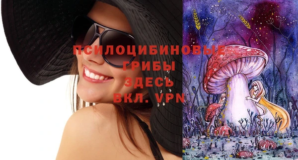 гидра Абинск