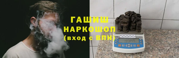индика Алзамай