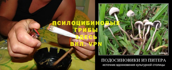 индика Алзамай