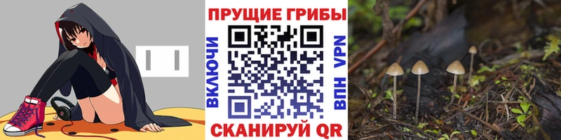 OMG маркетплейс  закладки  Челябинск  Галлюциногенные грибы прущие грибы 
