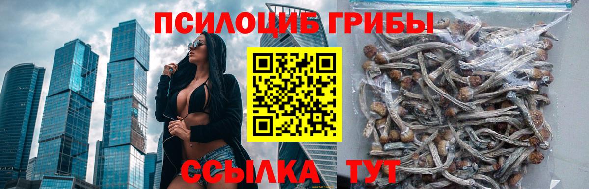 сколько стоит  Псилоцибиновые грибы GOLDEN TEACHER  Вход с VPN  Челябинск 